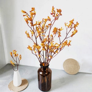 preserved kangaroo paw branches，dried kangaroo flowers bouquet，dried flowers arrangemenet，flowers for vase，home decoration，wedding decor