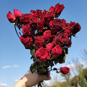 dried red rose flowers bouquet，natural rose flowers branches，dried flowers  arrangement,home  decor,wedding flowers  decor