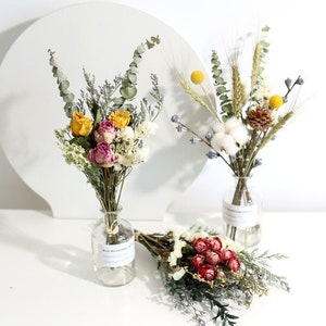  Garneck 3 Bunches Dried Flower Bouquet Dried Babys Breath  Flowers Bulk babysbreath Branches Photography Props DIY Bouquet Dried  Flowers Bouquet Dry Dried Flowers. Embossed South America : Home & Kitchen