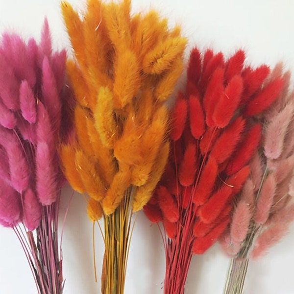 retro dry lagurus grass bouquet，dried flowers and grass，dried flowers arrangement，dried garlands materials。home decor，wedding grass  decor