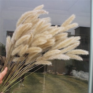 50 stems dried grass bundle， 22 ”dried flowers and grass，dried flowers arrangement，dried grass for vase，home decor，wedding decor