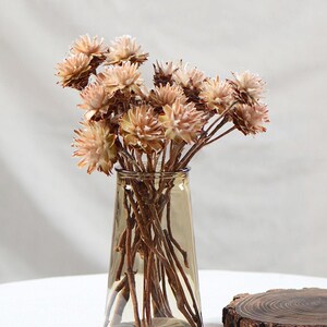 Op de afbeelding: Een boeket gedroogde bloemen in tinten van bruin en wit, gerangschikt in een heldere glazen vaas met een bruine tint. De vaas staat op een wit oppervlak met een houten schijf erachter.