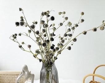 natural flowers branches，natural plant，dry flowers arrangement，vase filler，boho decor，home decoration，wedding flower decor