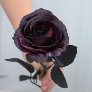 May include: A dark purple rose with black stem and leaves. The rose has multiple layers of petals, with a deep, rich color gradient from dark purple to a lighter shade. The leaves are a solid black, and the stem is also black.