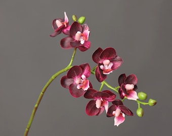 Faux dark red Orchid plants，19 inch Artificial orchids flowers，Burgundy flower，flower arrangement，DIY floral，Vase Filling，home/wedding decor