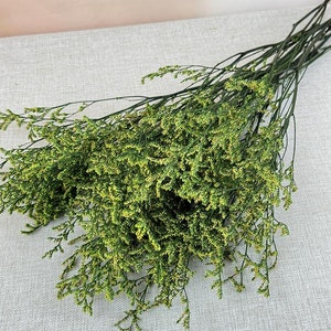 preserved Caspia Limonium grass bundle, dried green grass, dried Caspia grass bundle, DIY craft supply, wedding bouquet decor，vase filler