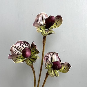 Könnte beinhalten: Drei künstliche Orchideen-Stiele mit komplizierten Details. Die Blüten weisen eine Mischung aus Farben auf, darunter tiefes Burgunderrot, weiße Streifen und grüne Akzente. Die Stiele sind strukturiert braun, und die Gesamtästhetik ist botanisch.