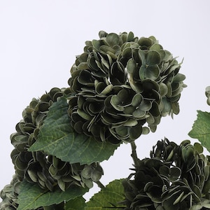 May include: Artificial hydrangea stems featuring dark green flower heads and large green leaves. These faux flowers have a realistic appearance, suitable for home decor or floral arrangements.