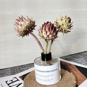 1/2/5/10Gedroogde Afrikaanse tiranbloemen, schaarse droogbloemen, droogbloemen voor vazen, droogbloemstukken, huwelijksbloemen, woondecoratie