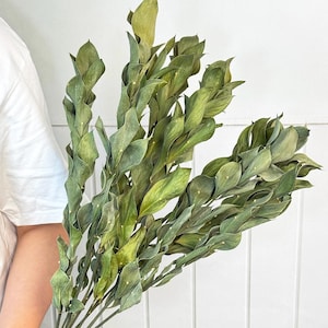May include: A bundle of dried Ruscus leaves, featuring a mix of green and yellow hues. The leaves have a textured appearance and are held together at the stems. The background is a white wall and a wooden surface.