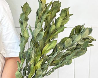 natural Orange leaf branch,Dried green angerine branch,Dried flower arrangements,Vase filling,Home/Wedding flower decor,DIY craft supply