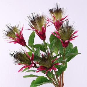 Könnte beinhalten: Ein Strauß künstlicher Blumen mit leuchtenden Farben. Die Blumen haben eine einzigartige Form mit burgunderroten Blütenblättern, grünen und braunen Zentren und langen, stacheligen Staubblättern. Die Anordnung umfasst grüne Blätter und braune Stiele, vor weißem Hintergrund.