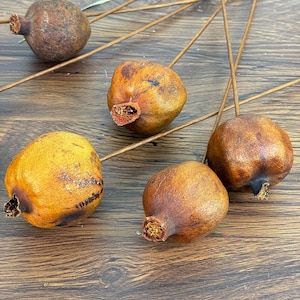 5/10 dried Pomegranate branch，natural fruits，dried flower for vase filler，boho home decor，dry flower arrangement，dry fruits decor，DIY craft image 4