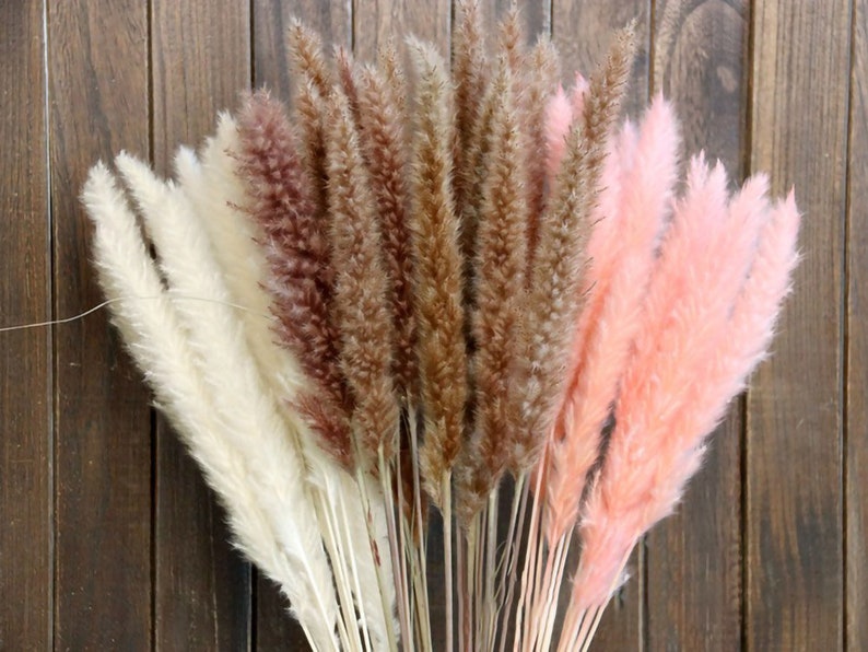 12 Gommini Per Griglie - Altezza 10 Mm, Base 10 Mm, Per Piedini Fornelli E Elettrodomestici - Foto 2