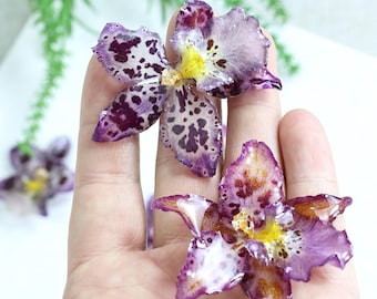 Resin Orchid Flower Heads，Real Orchid Flower，DIY Craft For Jewelry/Earrings/Necklace/Charms Making Supplies，Handmade Resin Flower