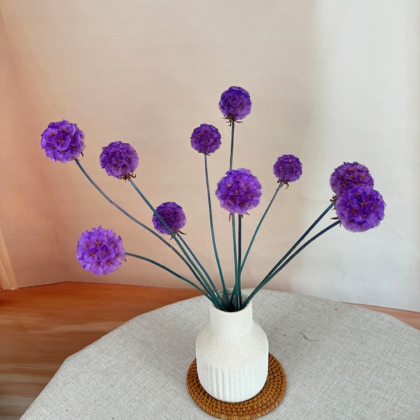 10 PCS High Quality Purple Dried Scabiosa Pods, Dried Flowers, Home Decor, DIY Craft Supplies, Wedding Decoration, Vase Fillers
