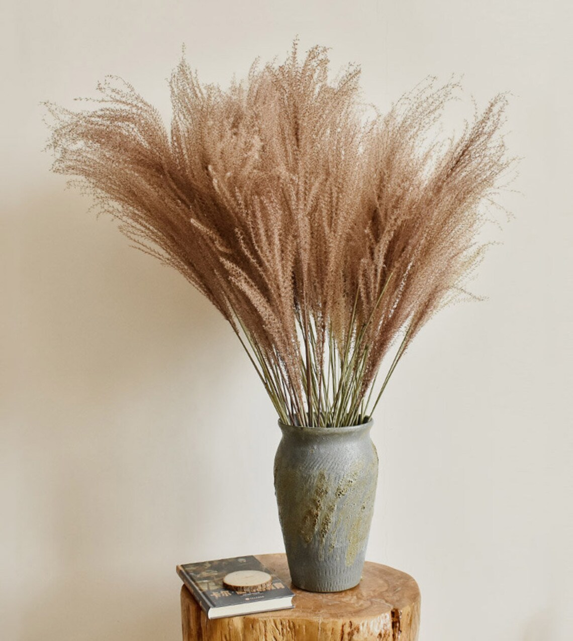 2 type natural pampas grass small 22dried pampas grass dry Etsy