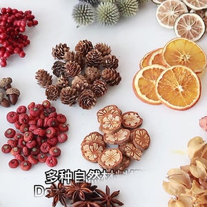 20 type dried flowers materials，DIY handcraft materials，DIY craft supply for garlands，frame，resin，bottle filling，home decor