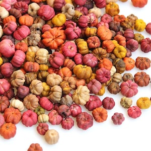 Può includere: Un insieme di piccole zucche nei colori autunnali: arancione, rosso, giallo e marrone. Le zucche, di varie dimensioni e forme, con o senza scanalature, creano una composizione stagionale. Sono raggruppate.