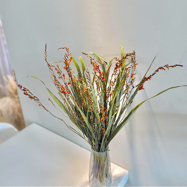 natural flaming orchid bunch，dried orchid flower，natural flower for vase，vase filler，flower arrangement，home decoration，wedding decor