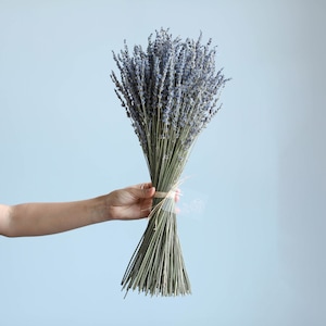 100/200 sticks dry lavender bouquet，dried natural lavender bunch，dried flowers arrangement，lavender bouquet for vase，home wedding  decor