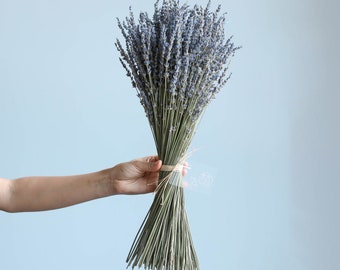 100/200 sticks dry lavender bouquet，dried natural lavender bunch，dried flowers arrangement，lavender bouquet for vase，home wedding  decor