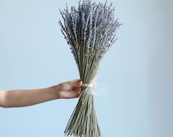 100/200 sticks trockener Lavendelstrauß ， getrocknetes natürliches Lavendelbündel ， Trockenblumenarrangement ， Lavendelstrauß für Vase， Hochzeitsdeko zu Hause
