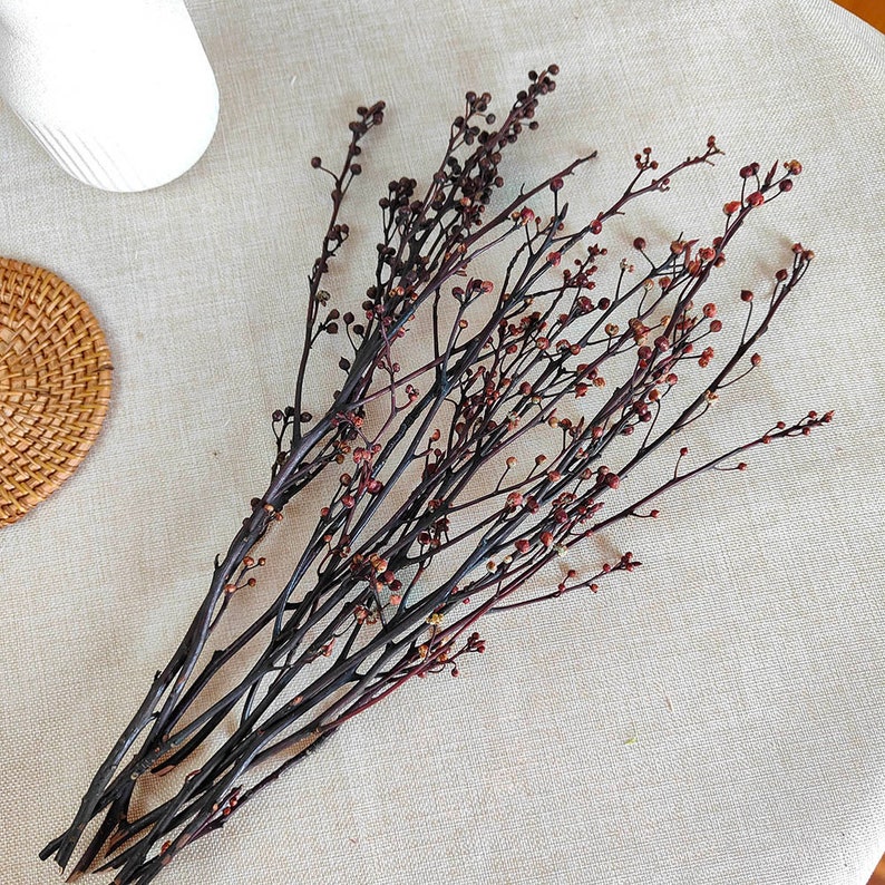 May include: A bunch of dried brown branches with small red berries. The branches are arranged in a fan shape and are spread out on a white fabric background.