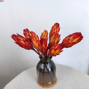 2/5 African protea repens stems，dried natural protea stems，dried flower for vase filler，flower arrangement，home decor，wedding flower decor