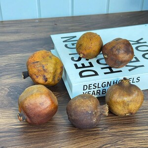 5/10 dried Pomegranate branch，natural fruits，dried flower for vase filler，boho home decor，dry flower arrangement，dry fruits decor，DIY craft image 5