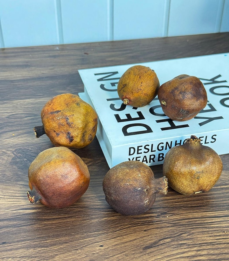 5/10 dried Pomegranate branch，natural fruits，dried flower for vase filler，boho home decor，dry flower arrangement，dry fruits decor，DIY craft image 5