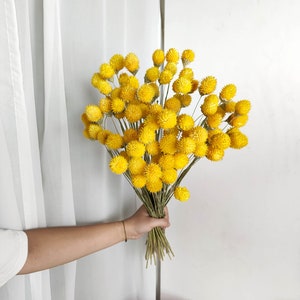 yellow thorn ball flower branches，artificial flower，dried flower arrangement，flower for vase，DIY craft supply，home decoration