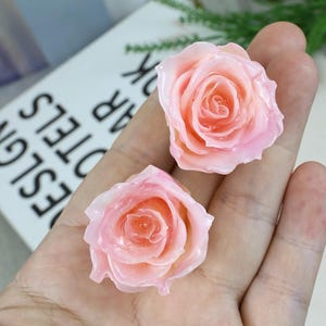 May include: Two small, glossy, light pink rose-shaped ornaments with layered petals. The flowers have a smooth, translucent finish and a soft gradient of color, transitioning from a deeper pink center to lighter, pale pink edges on the outer petals.