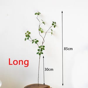 Pu&ograve; includere: Un lungo stelo di pianta artificiale con foglie verdi. Lo stelo &egrave; lungo 85 cm e ha una base di 30 cm. La parola "Long" &egrave; scritta in rosso. La pianta &egrave; su sfondo bianco.