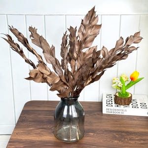 Branche de mandarine conservée, branche de feuilles d&#39;oranger brun sec, plante naturelle pour vase, compositions florales, décoration de maison/mariage, feuilles de feuillage brun