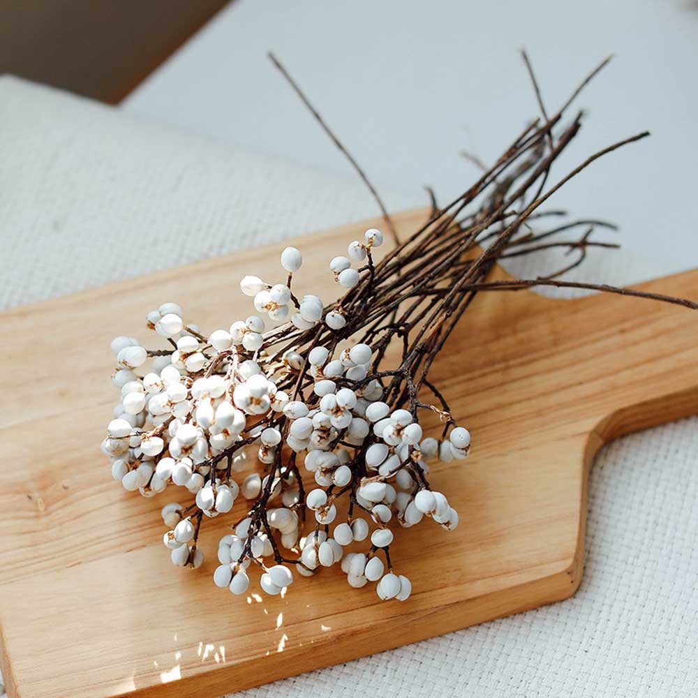 Dried Tallow Berries Bundle Natural Sapium Fruit Branchesdry Etsy