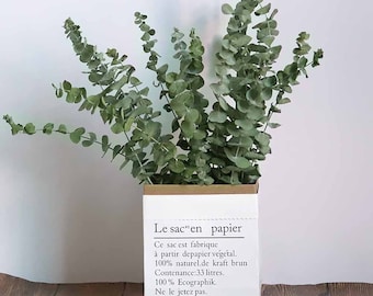 10 stems dried eucalyptus branches，16”，natural eucalyptus bunch，dried flowers arrangement，real eucalyptus for vase，home decoration，