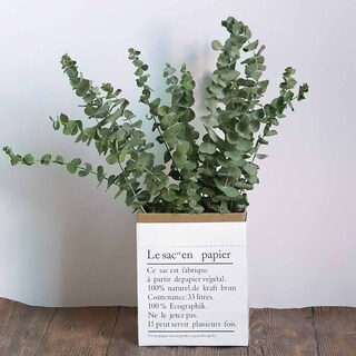 Fiori Secchi Eucalipto Rosso Decorazione Boho Bouquet Eucalipto Essiccato Naturale - Bouquet Fiori Secchi 40-43 Cm Decorazione Boho Per La Casa Bouquet Boho