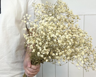 Natural dried Gypsophila bunch,preserved white baby's breath bunch,dry flower arrangements,DIY floral supply,vase filling,home/wedding decor