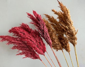 colorful pampas  grass bunch，5 sticks，natural dried grass for vase，dried flower arrangement，vase filling，home decoration，wedding grass decor