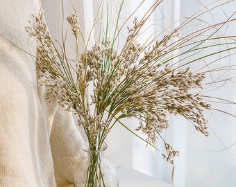 natural grass bundle  for vase，dried grass bouquet ， dried flowers arrangement，  desktop vase filler ，home  decoration，wedding grass decor