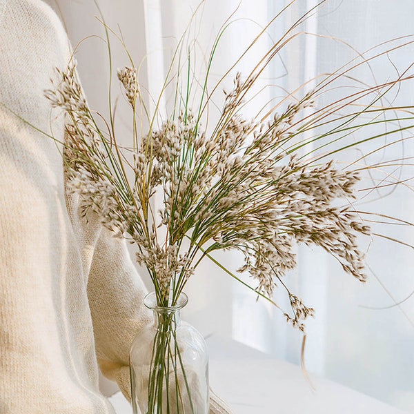 natural grass bundle  for vase，dried grass bouquet ， dried flowers arrangement，  desktop vase filler ，home  decoration，wedding grass decor