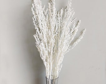 natural White grass bunch，dried  grass , dried flower arrange supplies，vase filling，DIY craft supply  home decor，Wedding grass decor