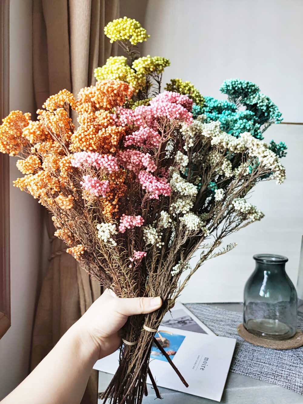 5 color dry rice flowers preserved rice flowers bouquetdried Etsy