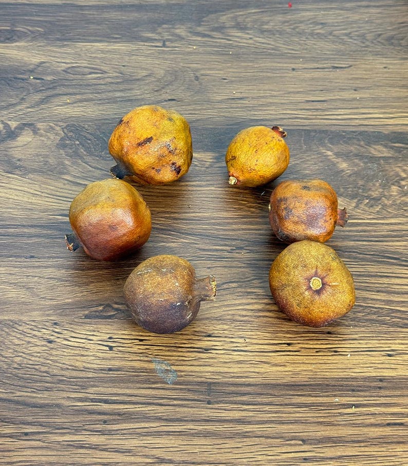 5/10 dried Pomegranate branch，natural fruits，dried flower for vase filler，boho home decor，dry flower arrangement，dry fruits decor，DIY craft image 6