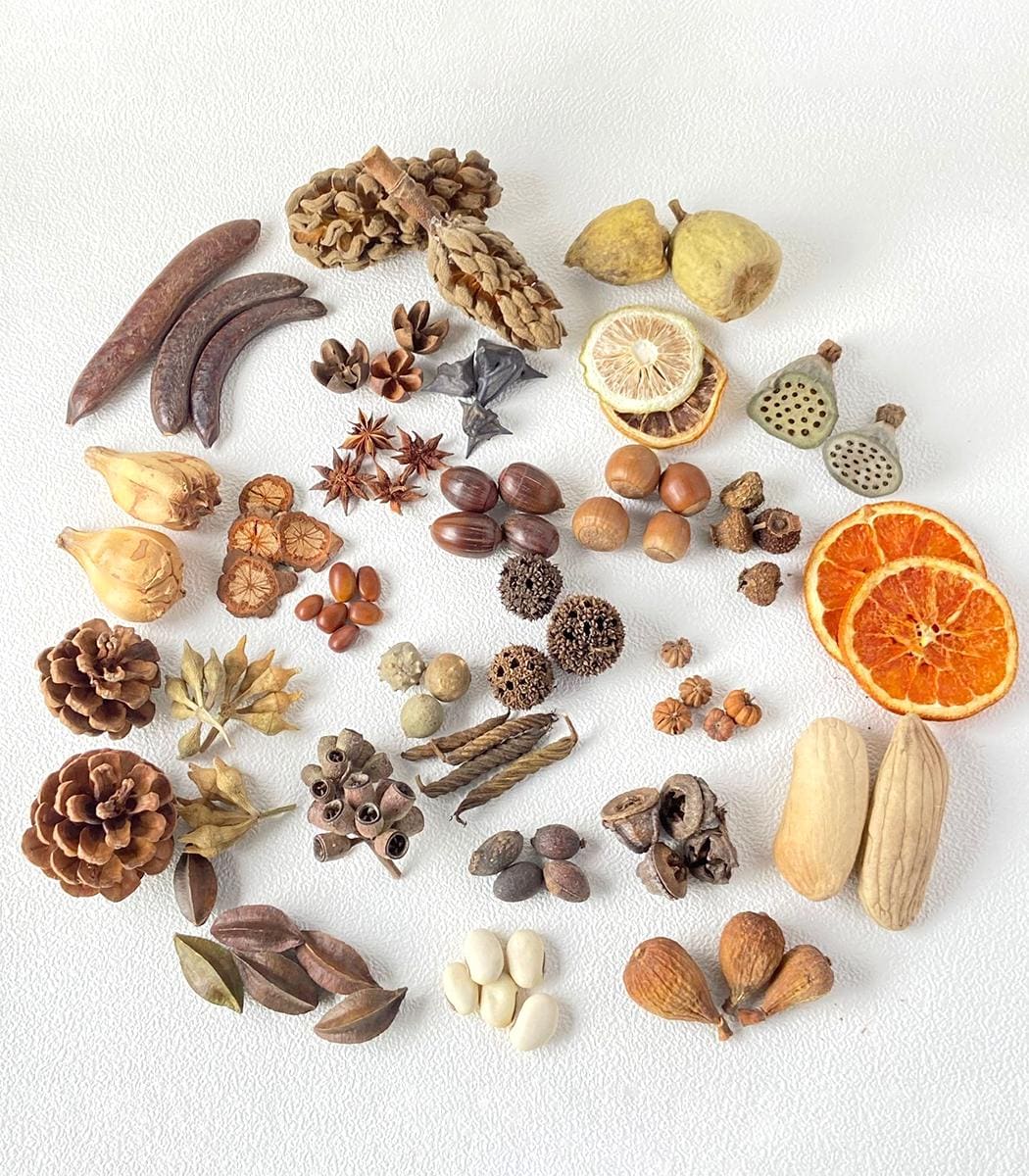 Pod Material Types 11 Type Dry Seed Pods Material,natural Material for Garlands/frame ...