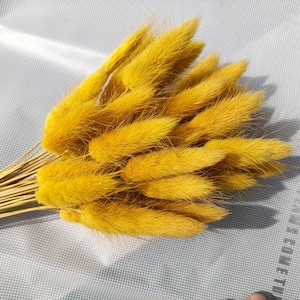 dark Mustard yellow bunny tails bouquet，natural dried lagurus ovatus grass， dried flowers arrangement，craft materials。home  wedding decor