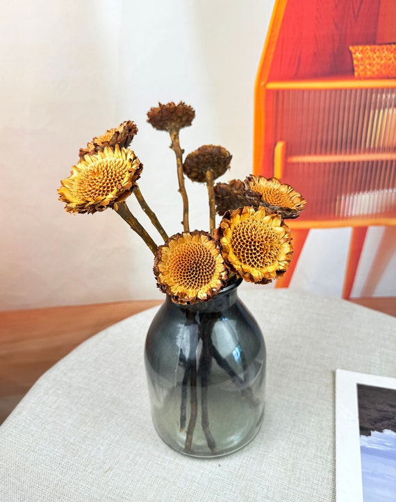 Fiori Di Loto Blu Secchi - Nymphaea Caerulea, 50 Grammi Per Infusi E Decorazione