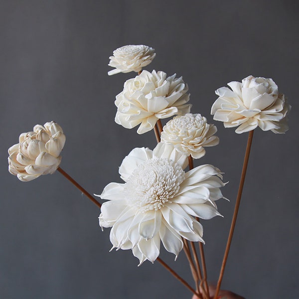 4 type sola bloemtakken, handgemaakte sola bloem, middelpunt sola decor, gedroogde bloemstuk, vaas vulling, DIY ambachtelijke aanbod, home decor