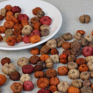 180+ pcsMini Mix Putka Pods, Natural Dry Putka Pods, DIY Potpourri Supply, Vase or Bowl Filler, Table Decor,Fall Decor Scene Layout